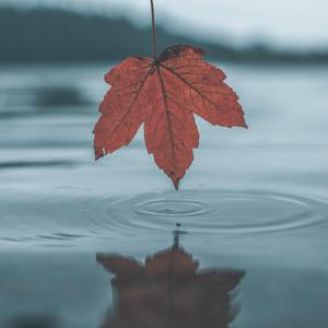 苍井空被躁120分钟视频个
