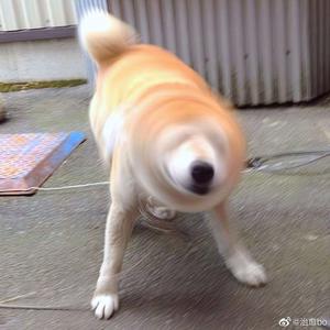 苍井空被躁120分钟视频个
