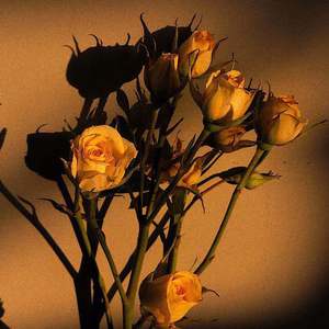 苍井空被躁120分钟视频个
